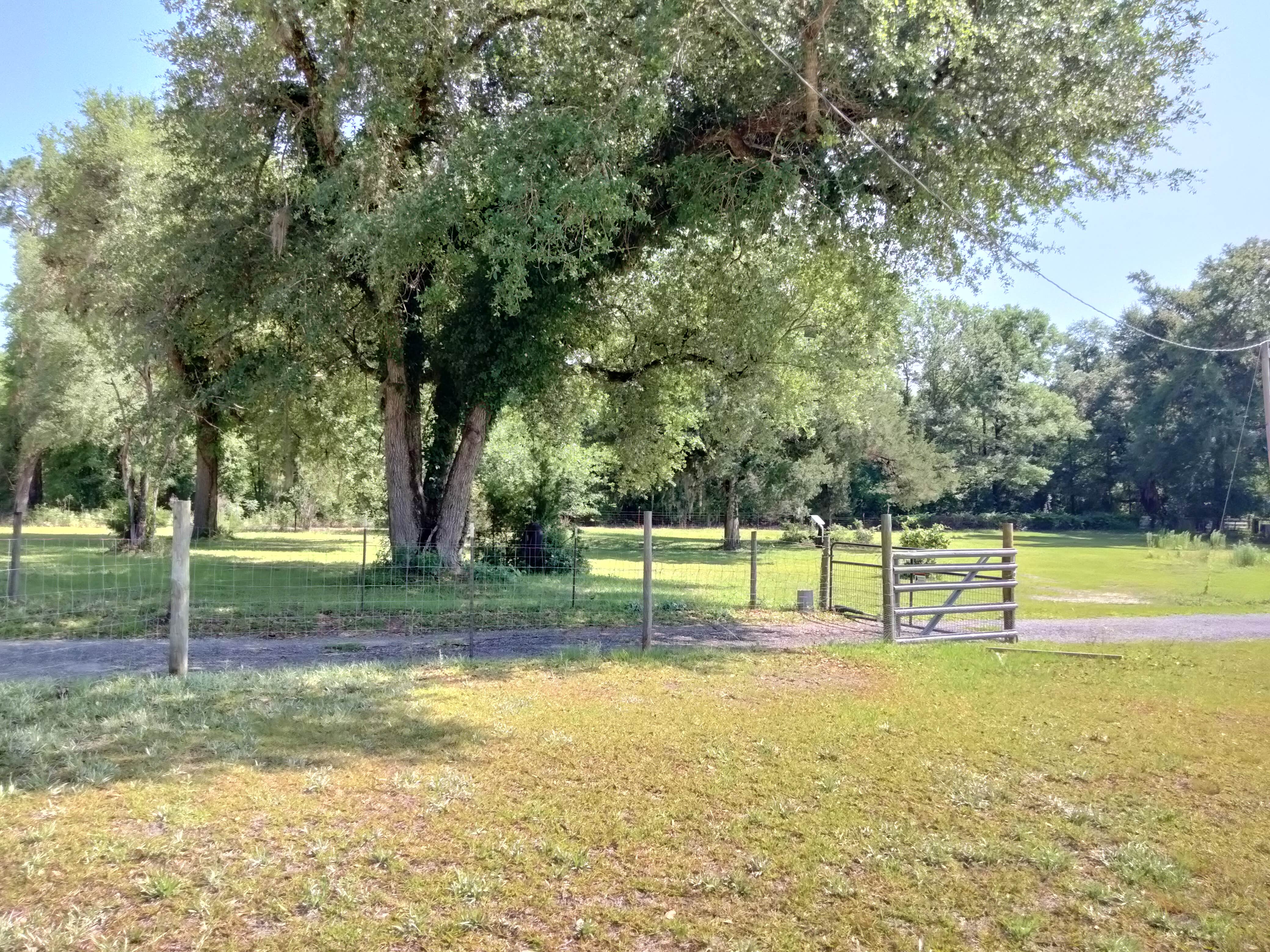 Camper-submitted photo at Healing Sanctuary near Marianna, FL