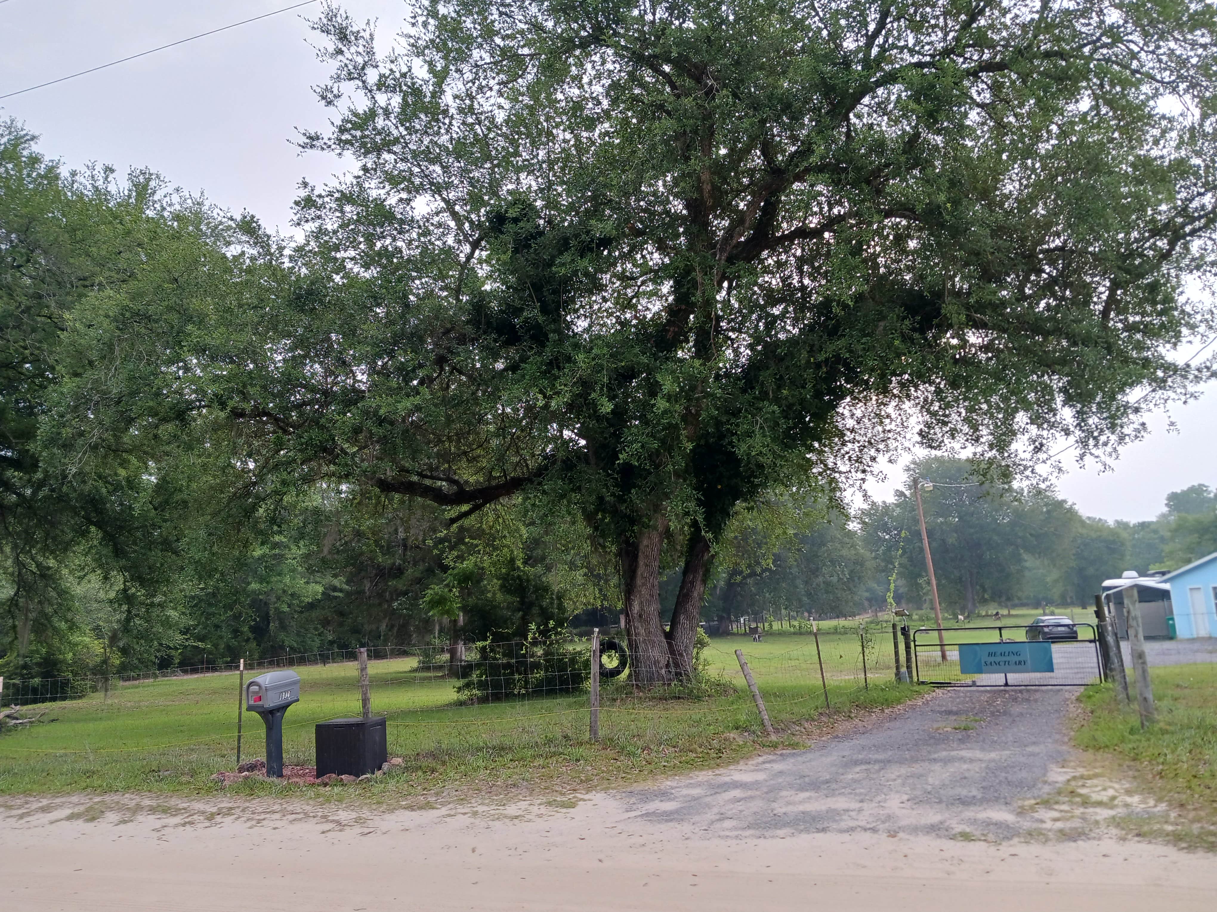 Camper-submitted photo at Healing Sanctuary near Marianna, FL