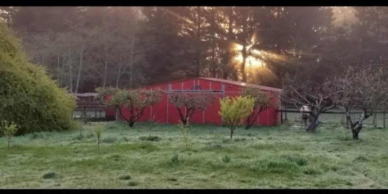 Camper submitted image from Lower Lake Farm Camp