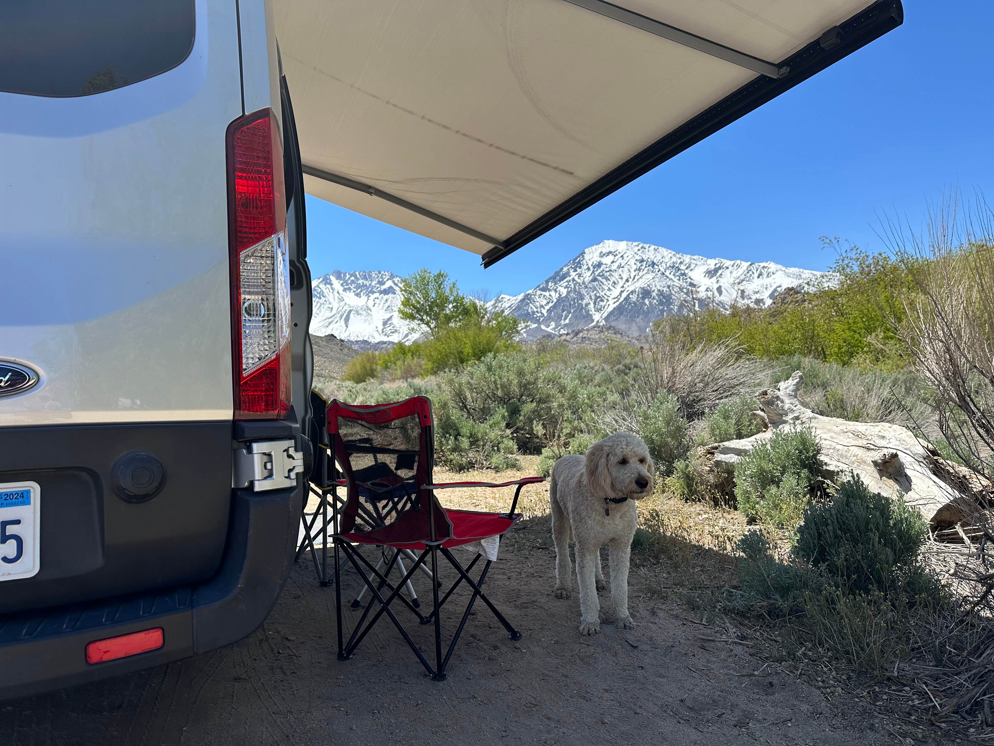 Camper-submitted photo at McGee Creek near Big Pine, CA