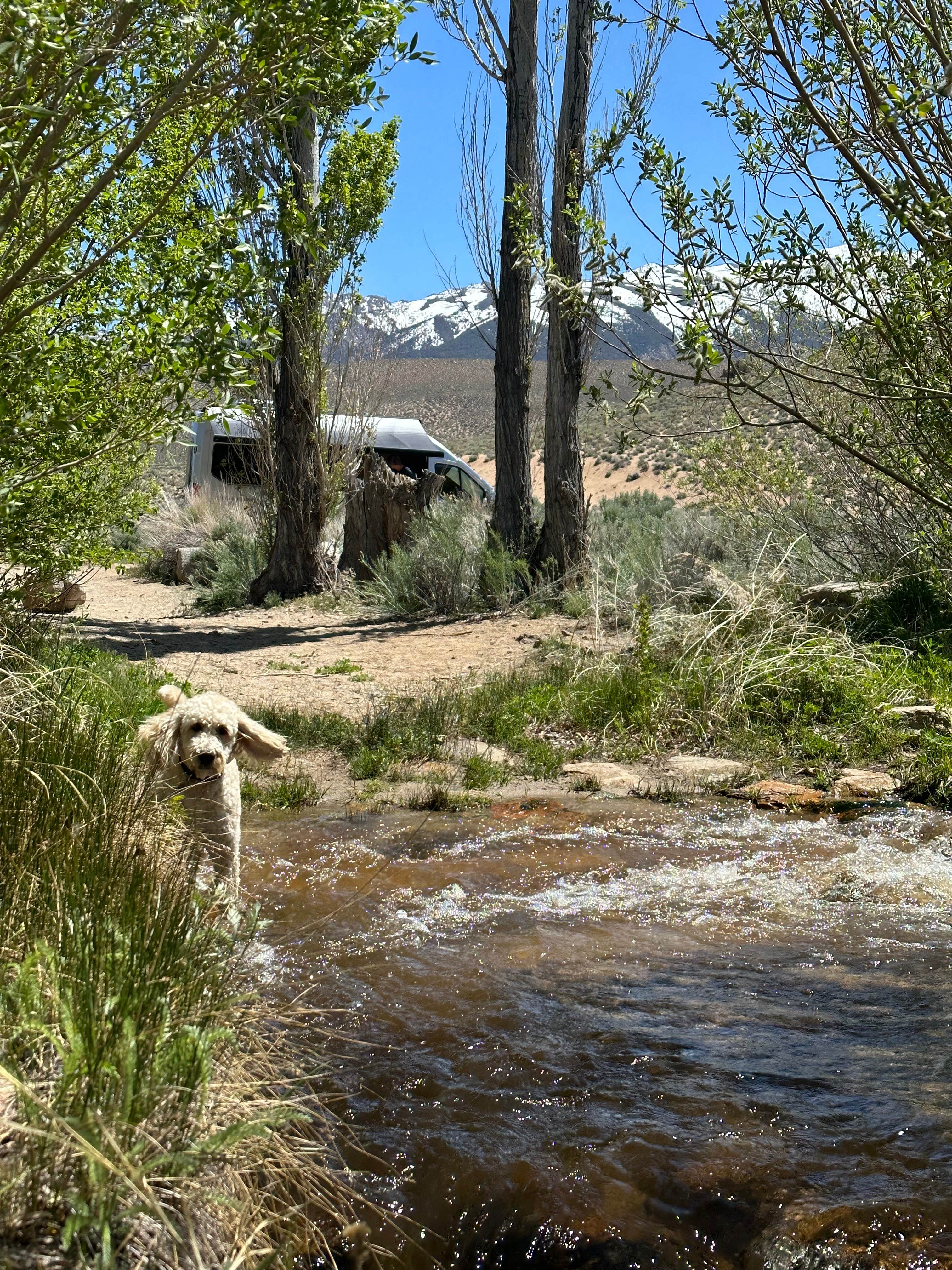 Camper-submitted photo at McGee Creek near Bishop, CA