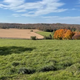 Big Oak Hill