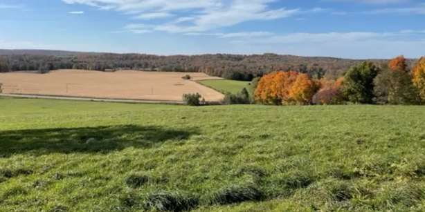 Camper submitted image from Big Oak Hill