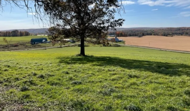 Camper-submitted photo at Big Oak Hill near Erie, PA
