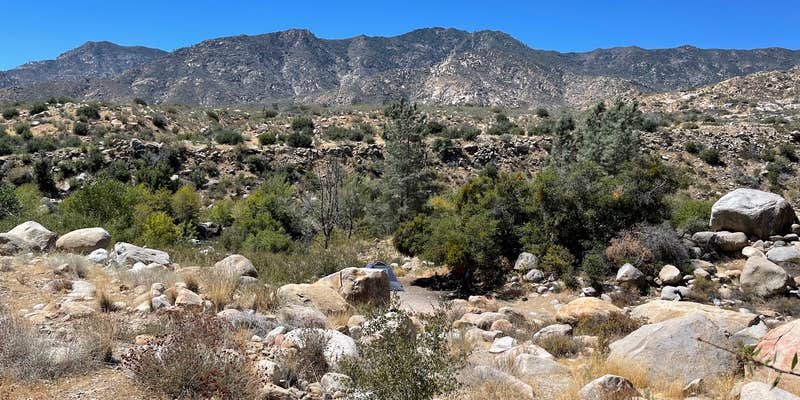 Camper submitted image from Chico Flat Dispersed Camping - Partially Closed, See Description