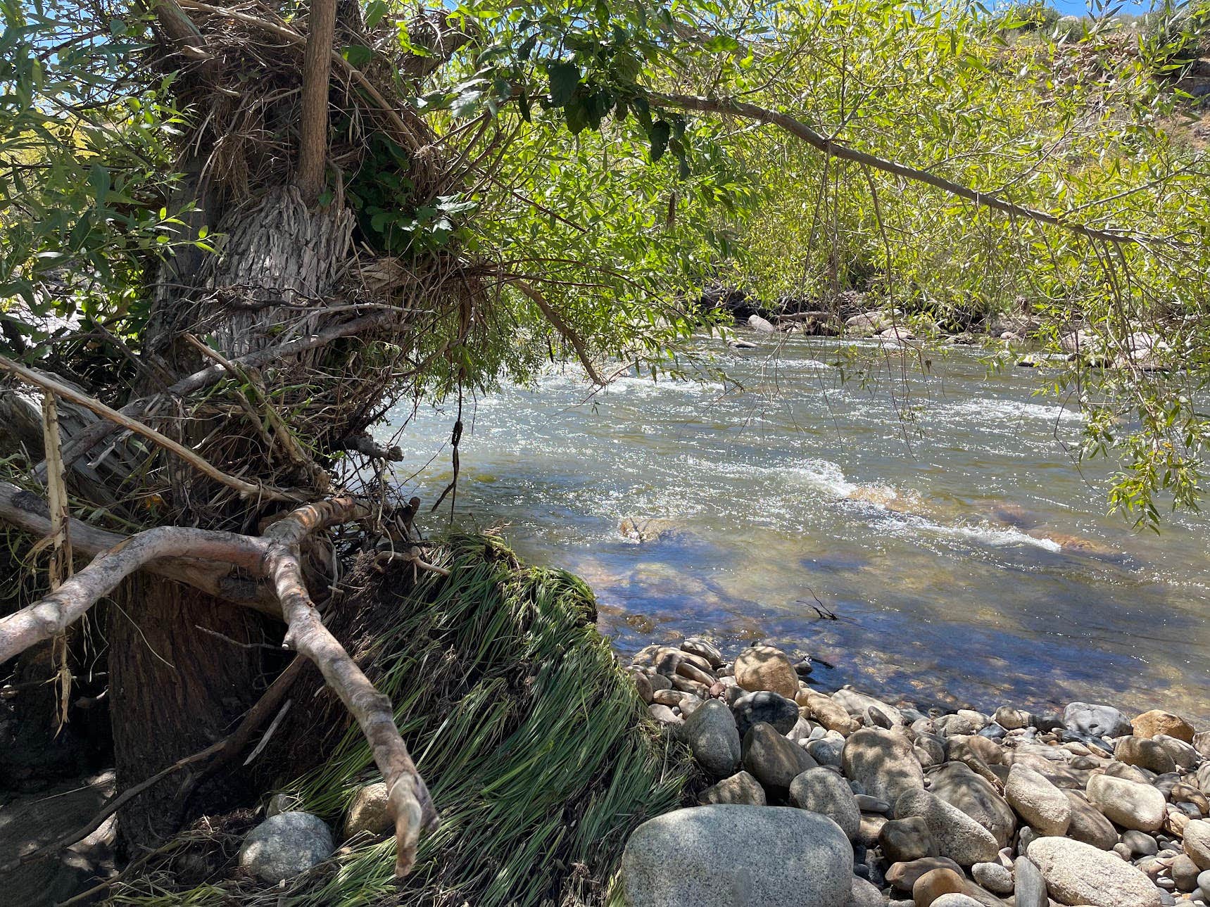 Chico Flat Dispersed Camping - Partially Closed, See Description