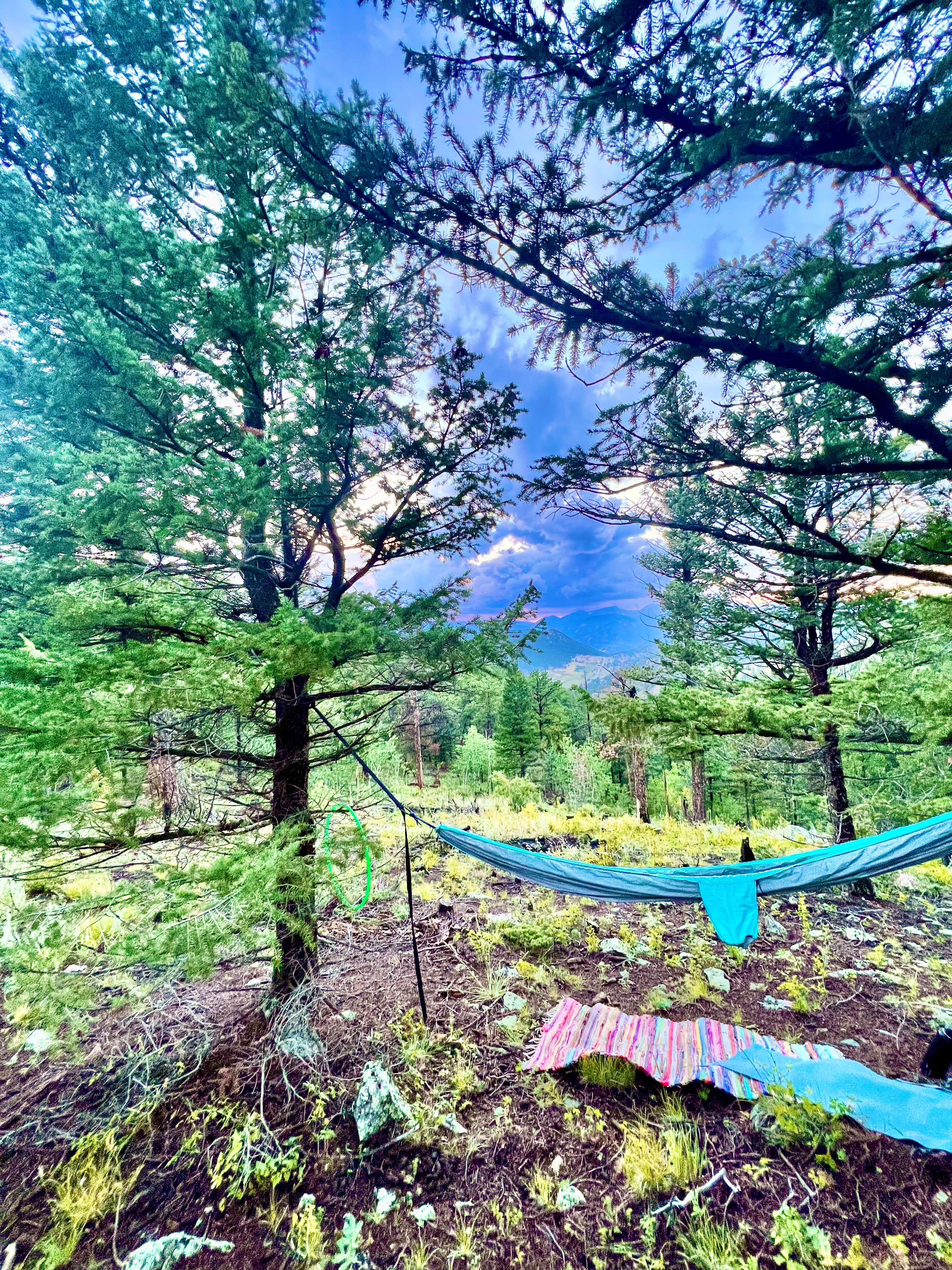 Camper submitted image from Hell Canyon Dispersed - 4