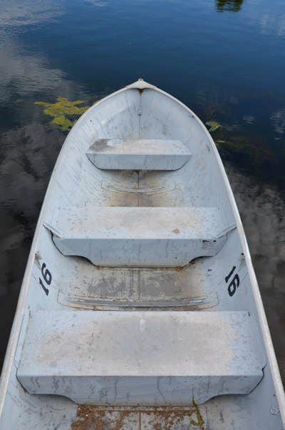 Camper submitted image from Patagonia Lake State Park Boat-In Campsites - 5