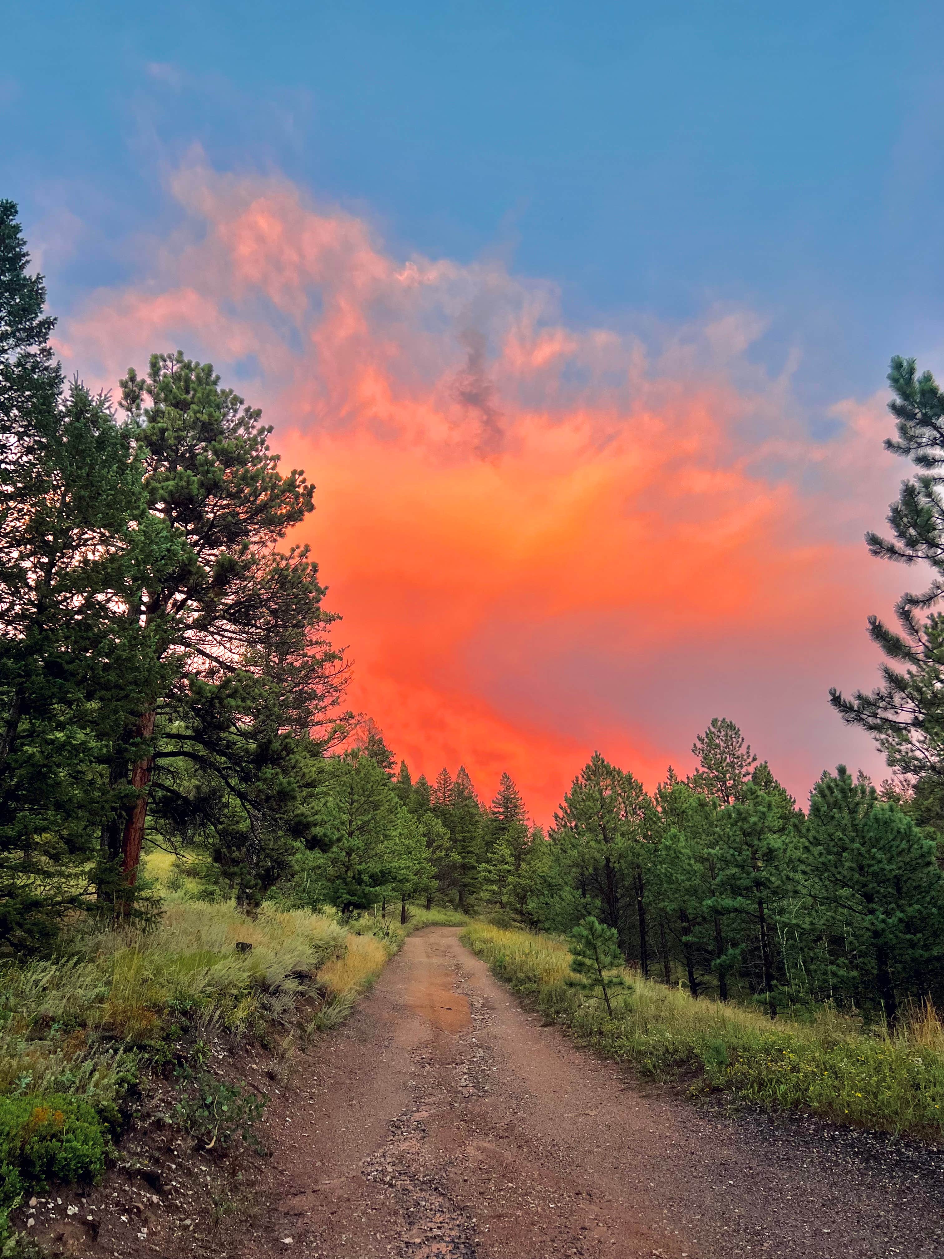 Camper submitted image from Hell Canyon Dispersed - 3