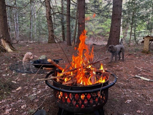The Dyrt's photo of camping with pets at Tentrr Signature Site - The Beaver Lookout near Edward MacDowell Lake