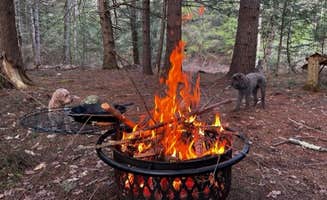 The Dyrt's photo of camping with pets at Tentrr Signature Site - The Beaver Lookout near Bennington, NH