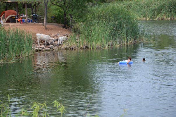 Camper submitted image from Patagonia Lake State Park Boat-In Campsites - 2