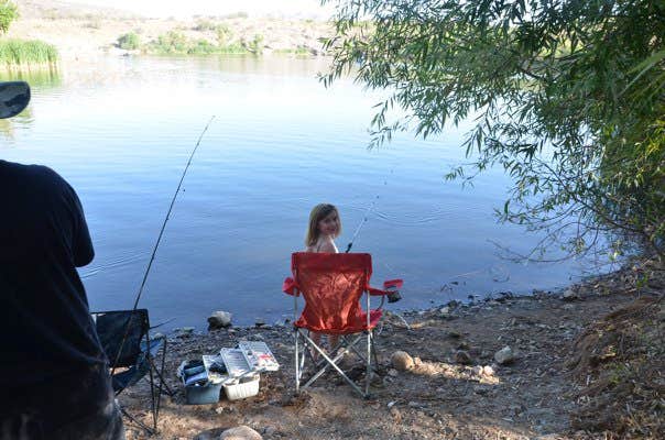 Camper submitted image from Patagonia Lake State Park Boat-In Campsites - 5