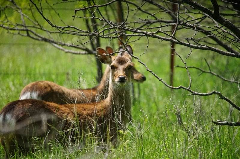 Camper-submitted photo at Hidden Lake RV Ranch near Graford, TX