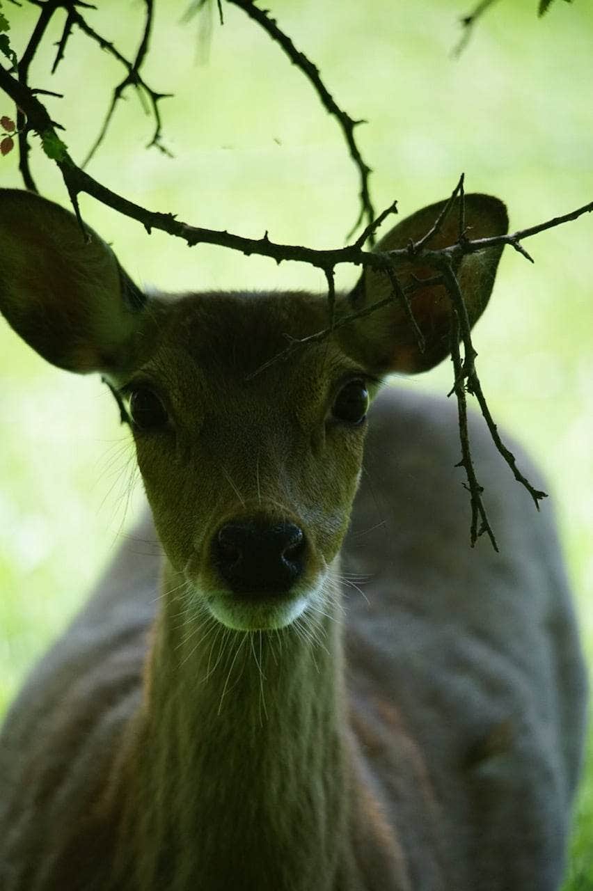 Camper-submitted photo at Hidden Lake RV Ranch near Graford, TX