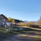 Review photo of Pearrygin Lake State Park Campground by David P., August 30, 2023