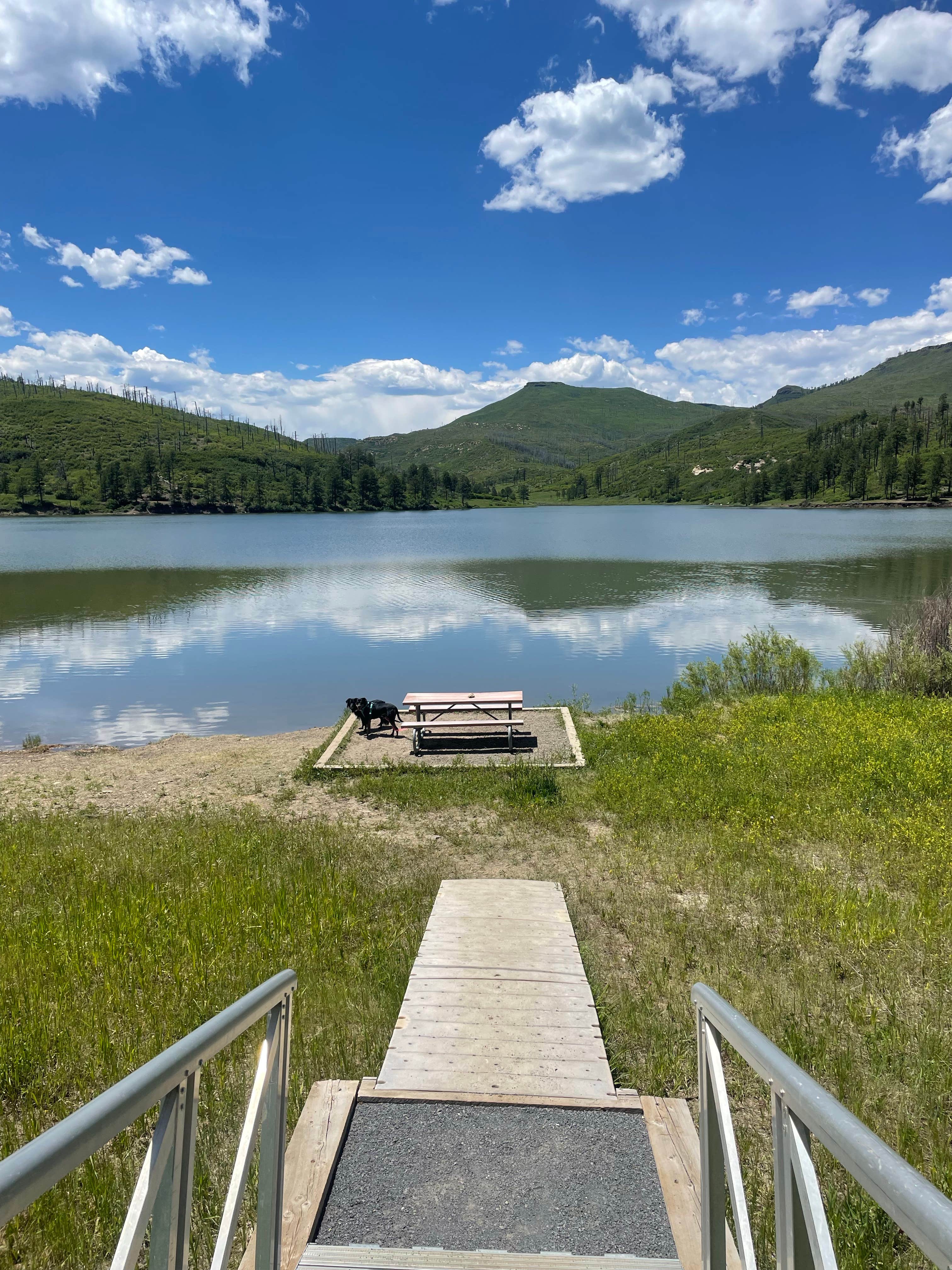 Callie C.'s photo of camping with pets at Lake Alice Campground — Sugarite Canyon State Park near Capulin, NM