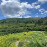 Review photo of Lake Alice Campground — Sugarite Canyon State Park by Callie C., August 30, 2023