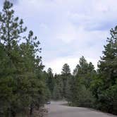 Review photo of Ashurst Lake — Coconino National Forest Recreation by Audrey R., October 30, 2018