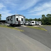 Review photo of Candy Hill Campground by Stefan K., August 30, 2023