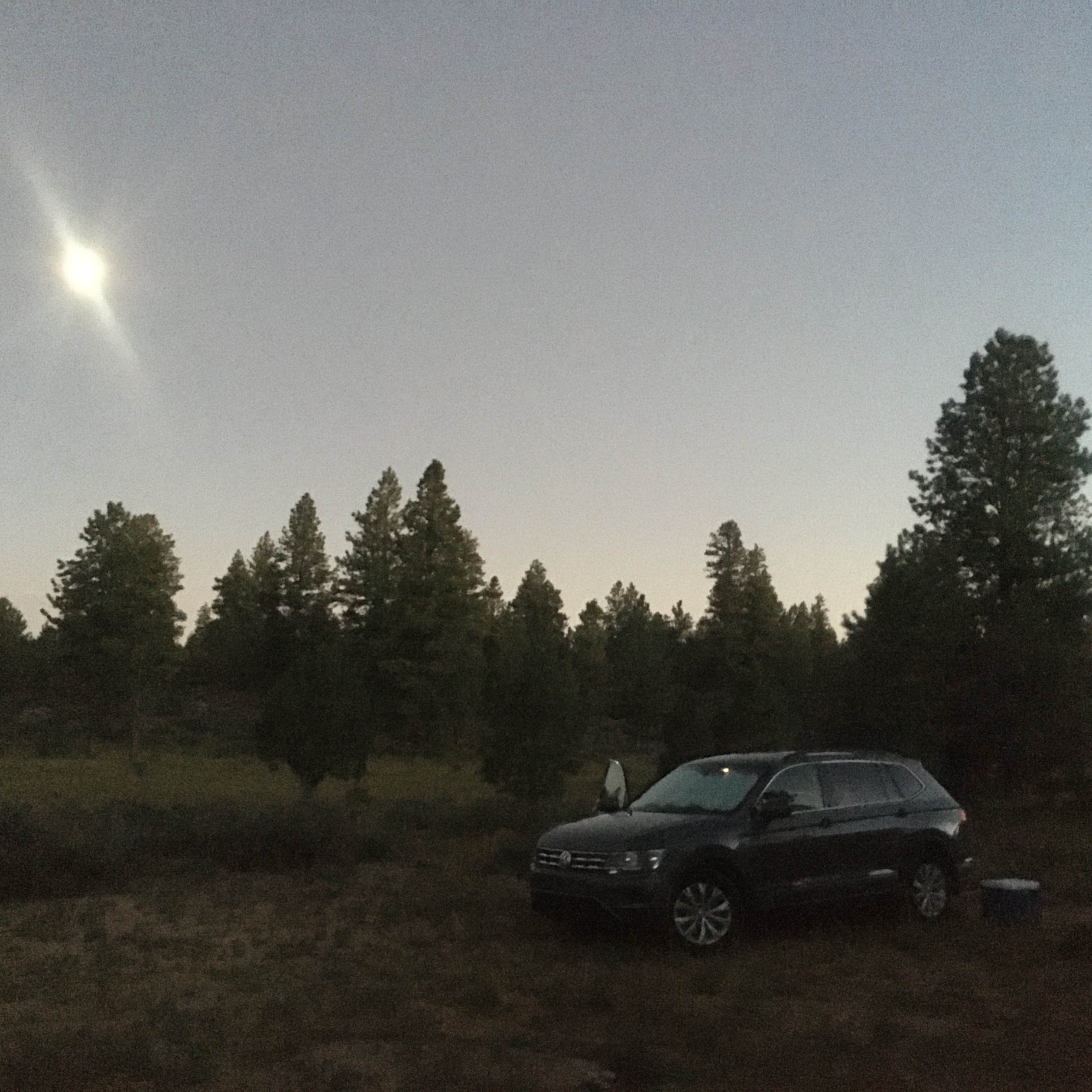 Camper submitted image from Dave’s Hollow - 5