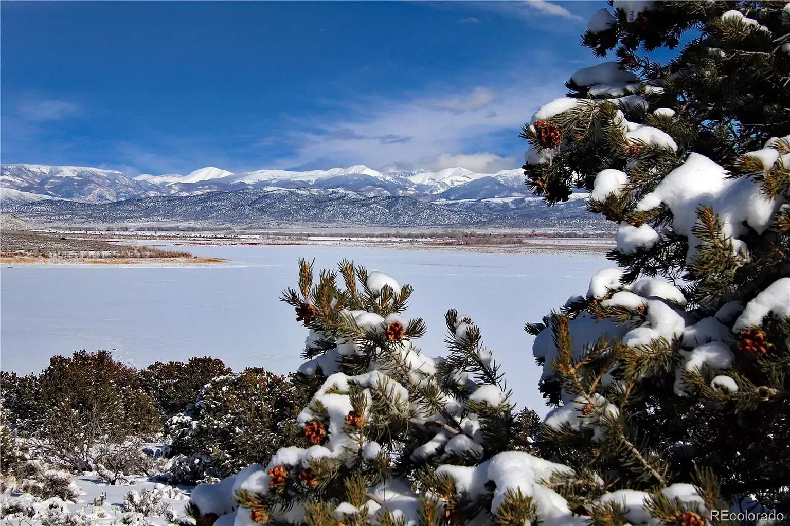 Camper-submitted photo at Wild Horse Mountain View near San Luis, CO