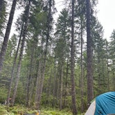 Review photo of Big Creek Campground by Matthew L., August 30, 2023