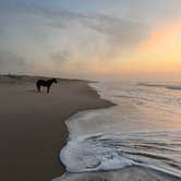 Review photo of Assateague State Park Campground by Wes , August 30, 2023