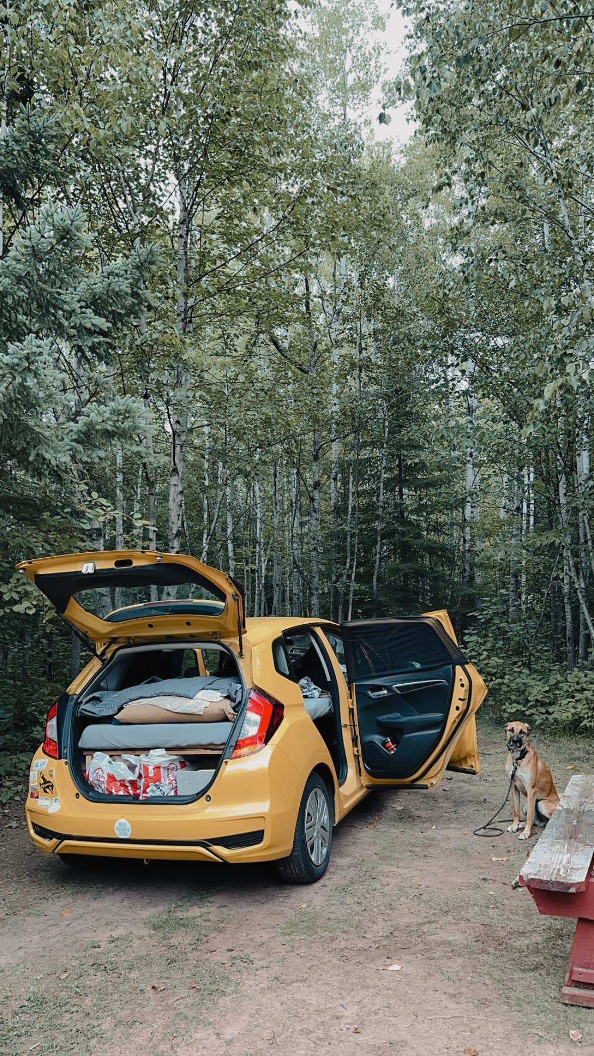 Ellery K.'s photo of camping with pets at Herbster Campground near Cornucopia, WI