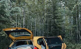 Ellery K.'s photo of camping with pets at Herbster Campground near Superior, WI