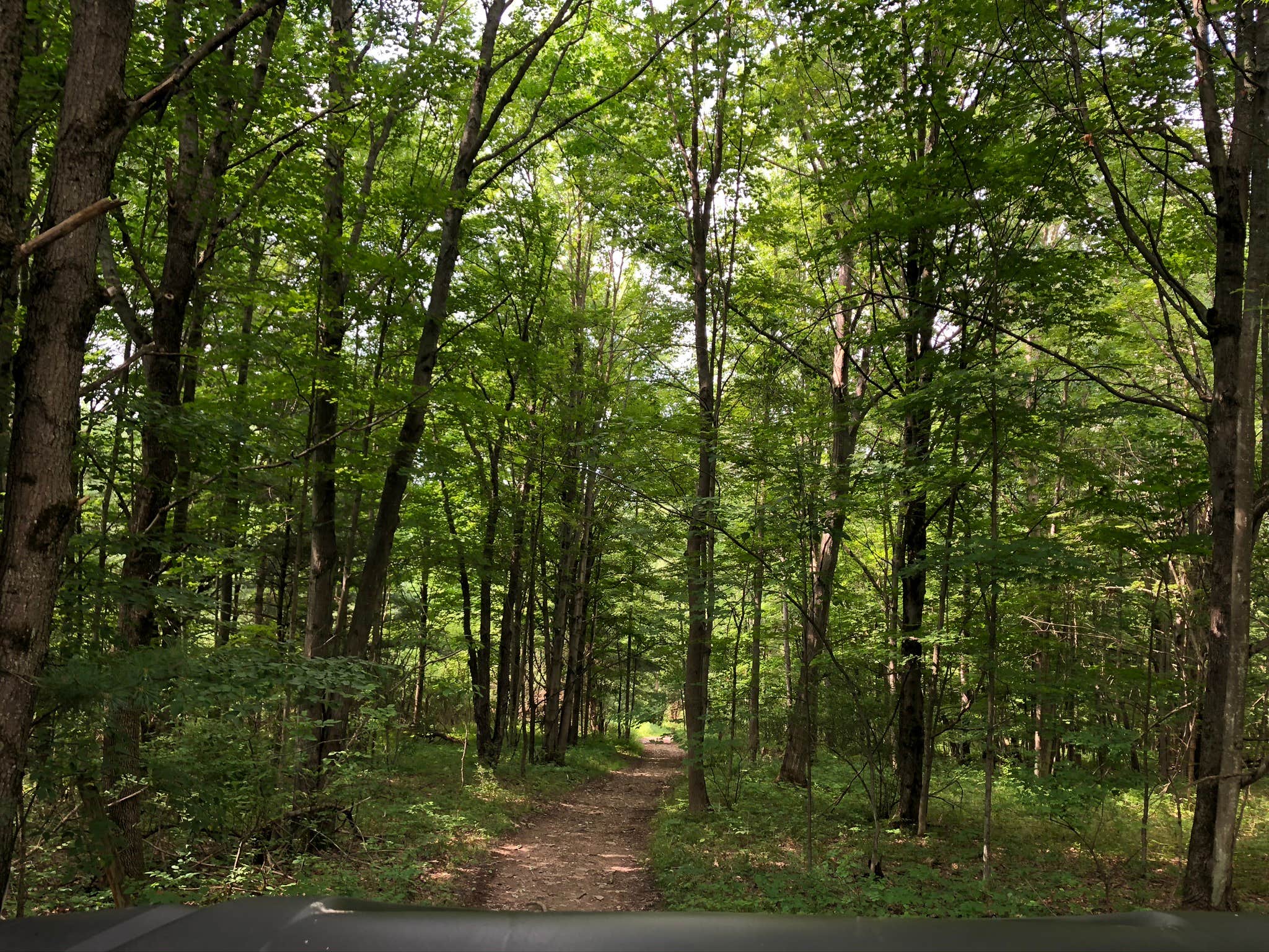Camper-submitted photo at Firefly Acres near Hunt, NY