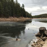 Review photo of Bear Canyon Lake and Camping Area by Audrey R., October 30, 2018