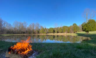 Camping near Youngs Creek Horse Camp: Nighthawk Forest, Paoli, Indiana
