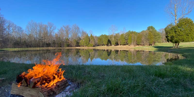 Camper submitted image from Nighthawk Forest