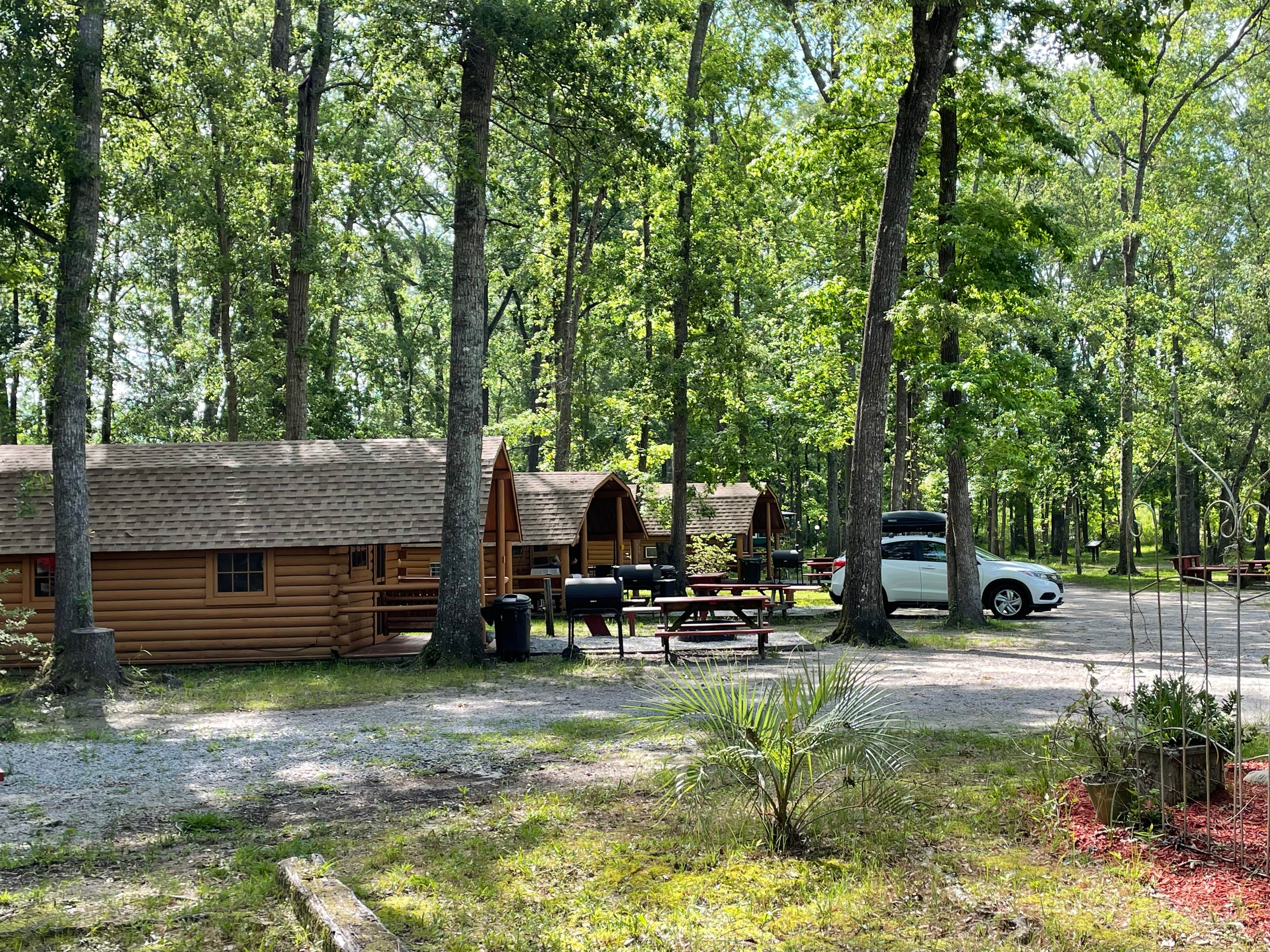 B M.'s photo of a cabin at Point South KOA near Hollywood, SC