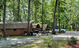B M.'s photo of glamping accommodations at Point South KOA near Ridgeville, SC