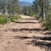 Review photo of Dispersed Uinta Campsite by Kevin G., August 30, 2023