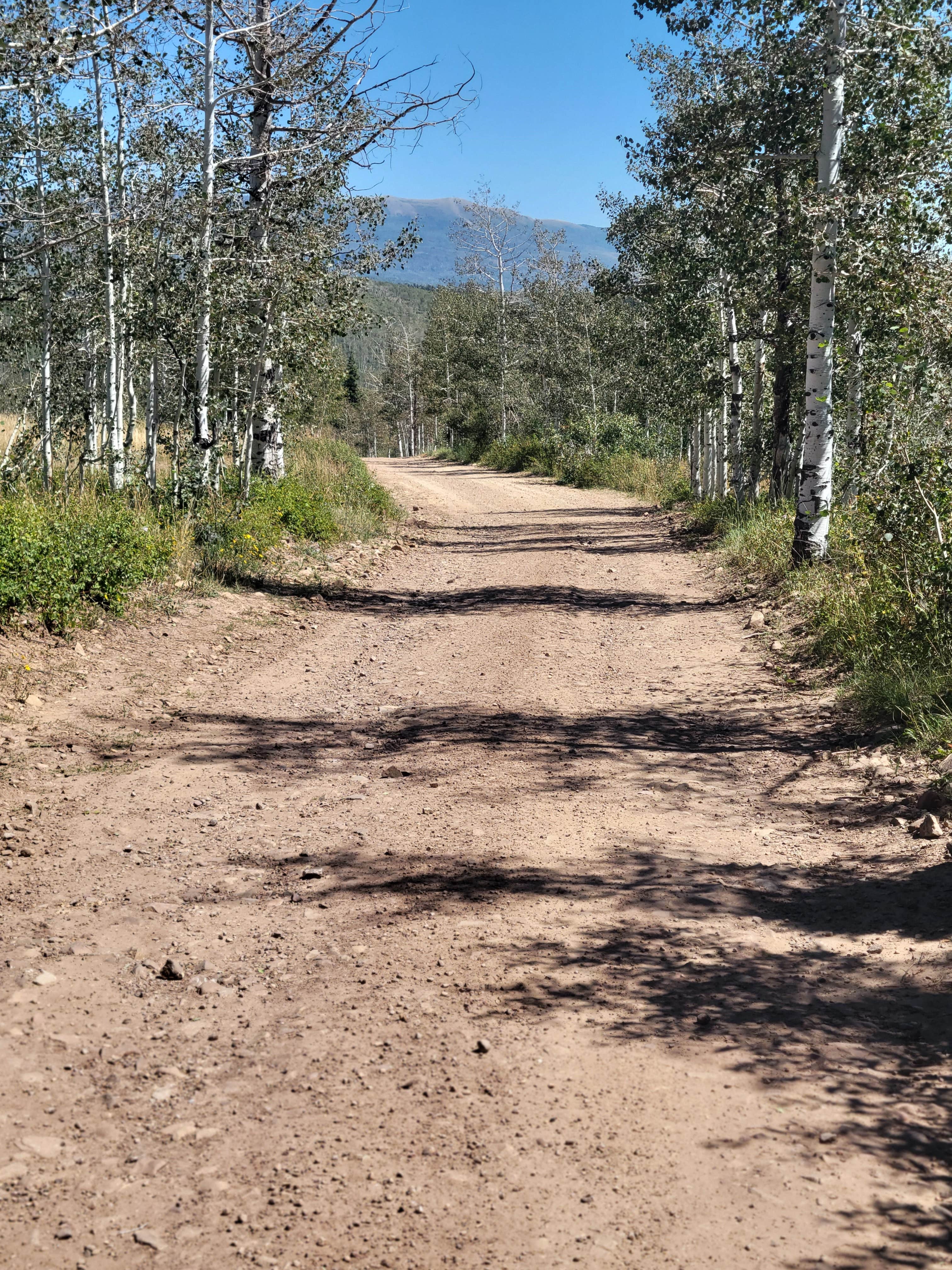 Camper submitted image from Dispersed Uinta Campsite - 5