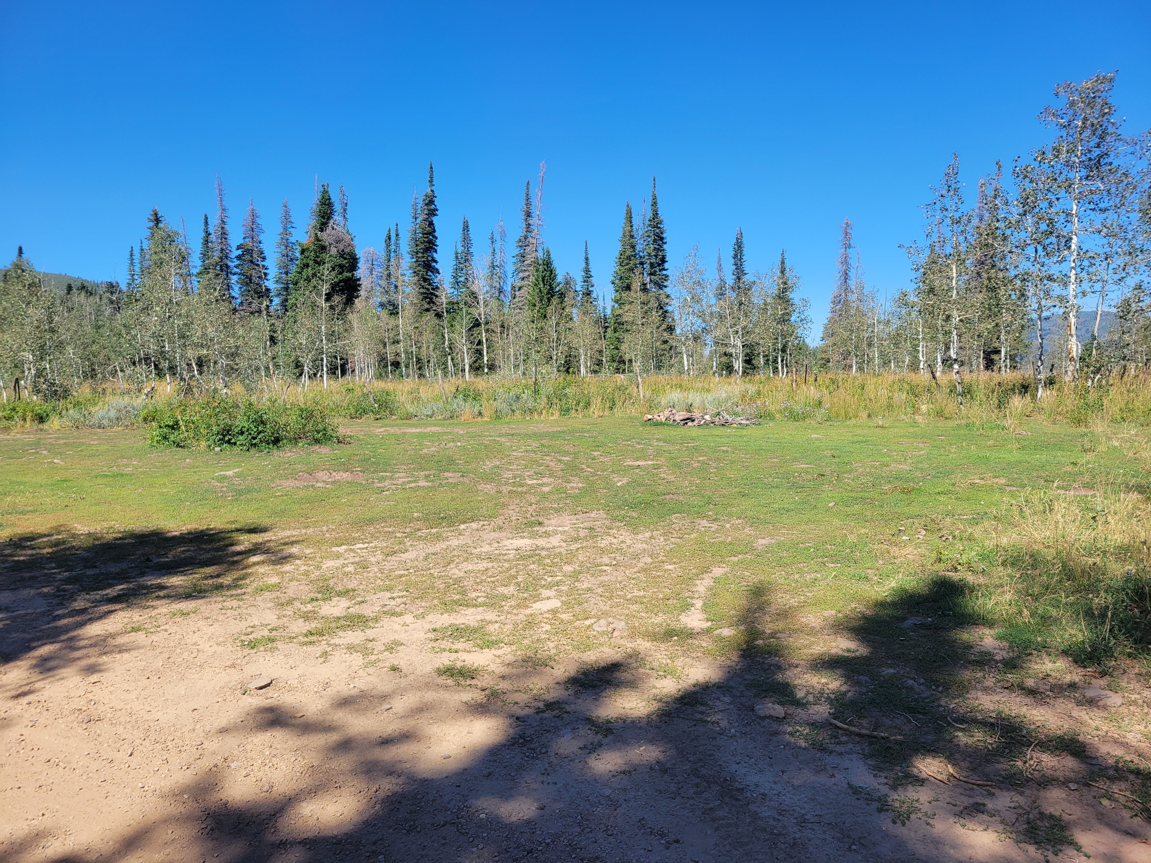 Camper submitted image from Dispersed Uinta Campsite - 2