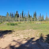 Review photo of Dispersed Uinta Campsite by Kevin G., August 30, 2023