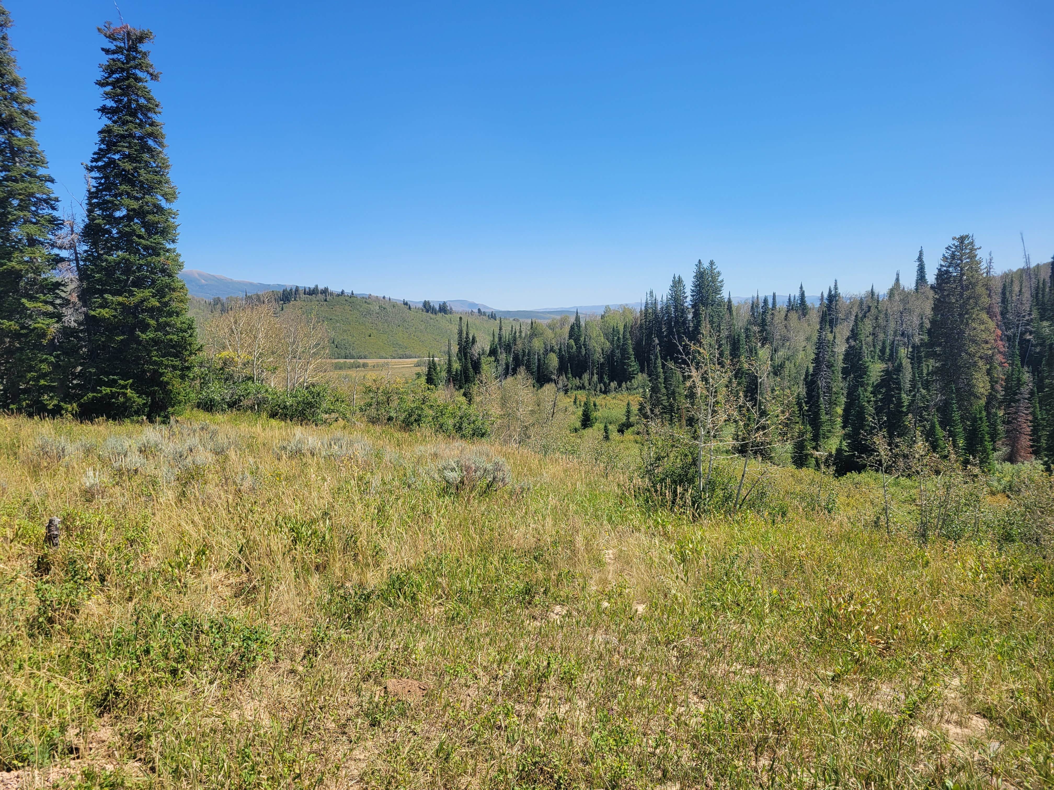 Camper-submitted photo at Dispersed Uinta Campsite near Duchesne, UT