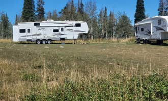 Camping near Currant Creek: Dispersed Uinta Campsite, Wallsburg, Utah