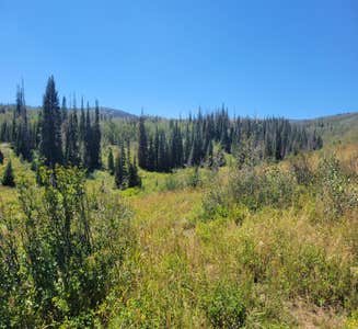 Camper-submitted photo from Dispersed Uinta Campsite