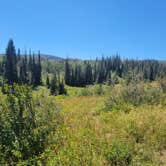 Review photo of Dispersed Uinta Campsite by Kevin G., August 30, 2023