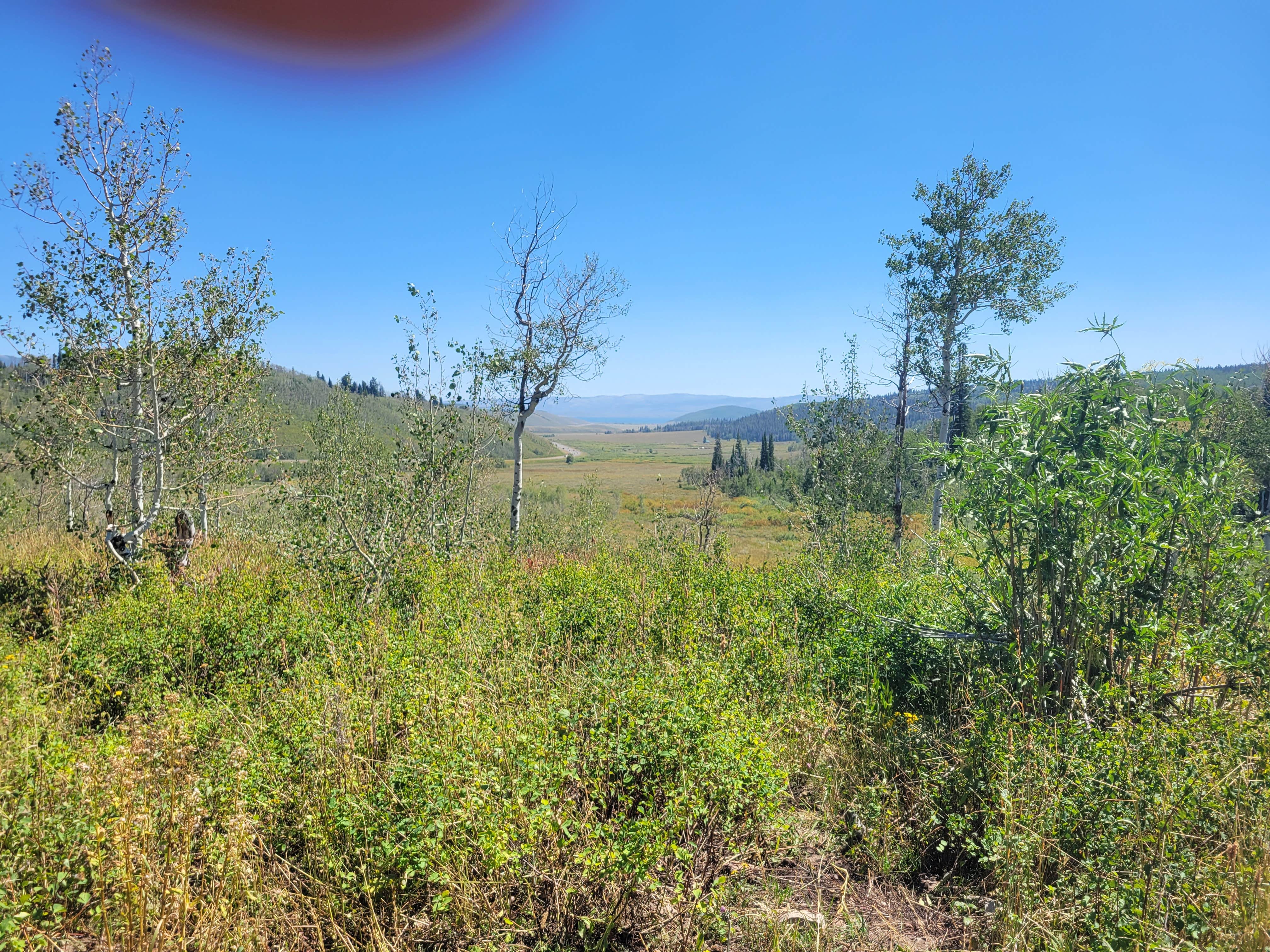 Camper-submitted photo at Dispersed Uinta Campsite near Duchesne, UT