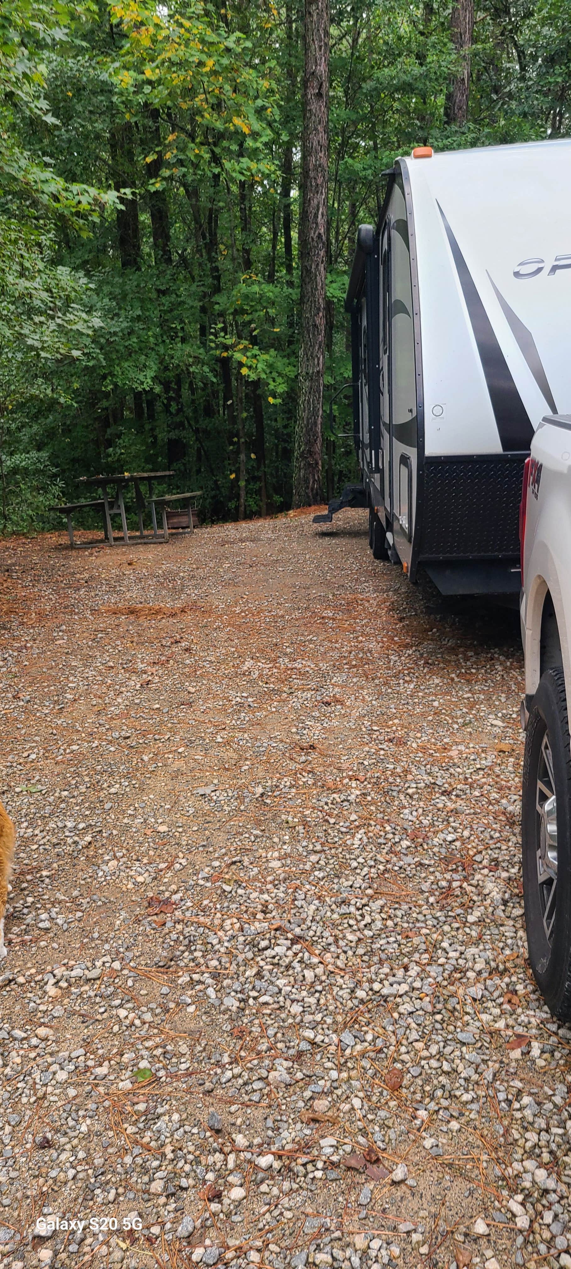 Cat R.'s photo of camping with pets at Cross Winds Family Campground near Mooresville, NC