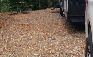Cat R.'s photo of camping with pets at Cross Winds Family Campground near Welcome, NC