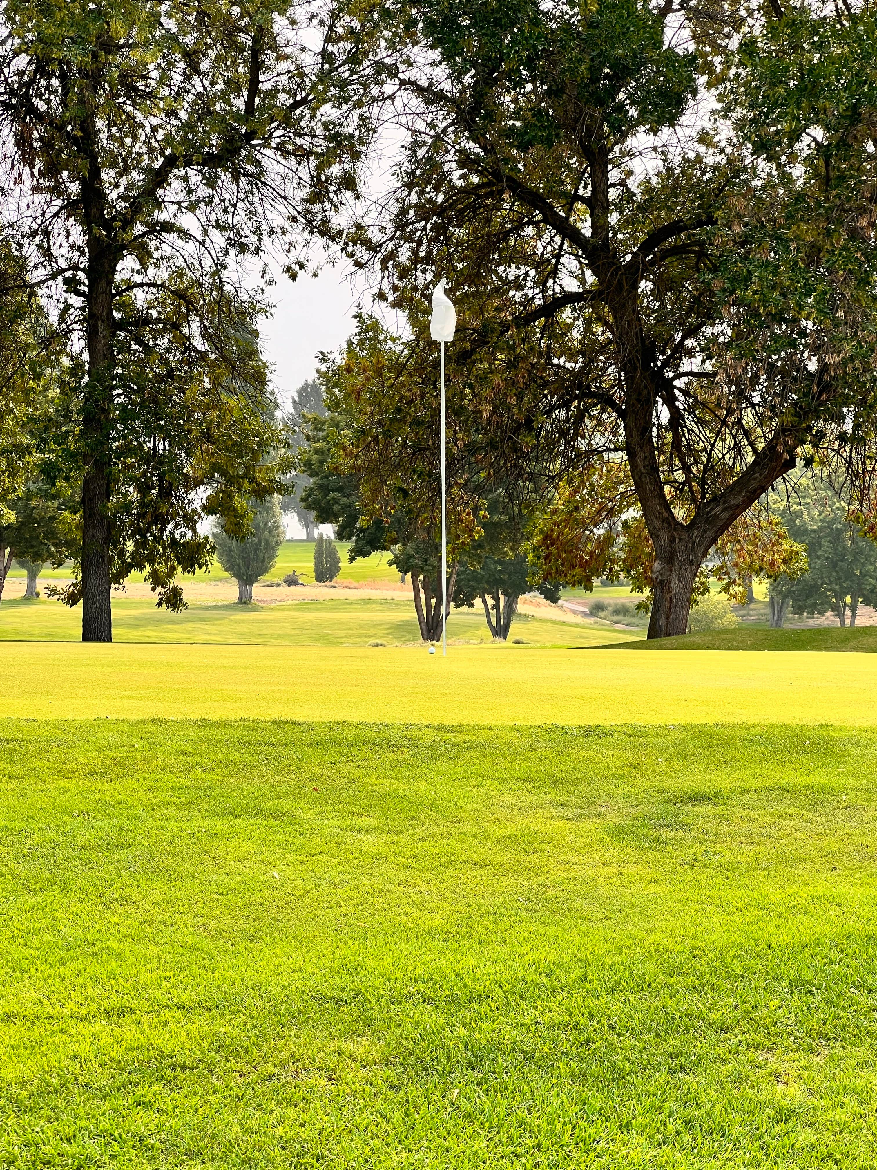 Camper-submitted photo at Sage Hills Golf Club & RV Resort near Mattawa, WA