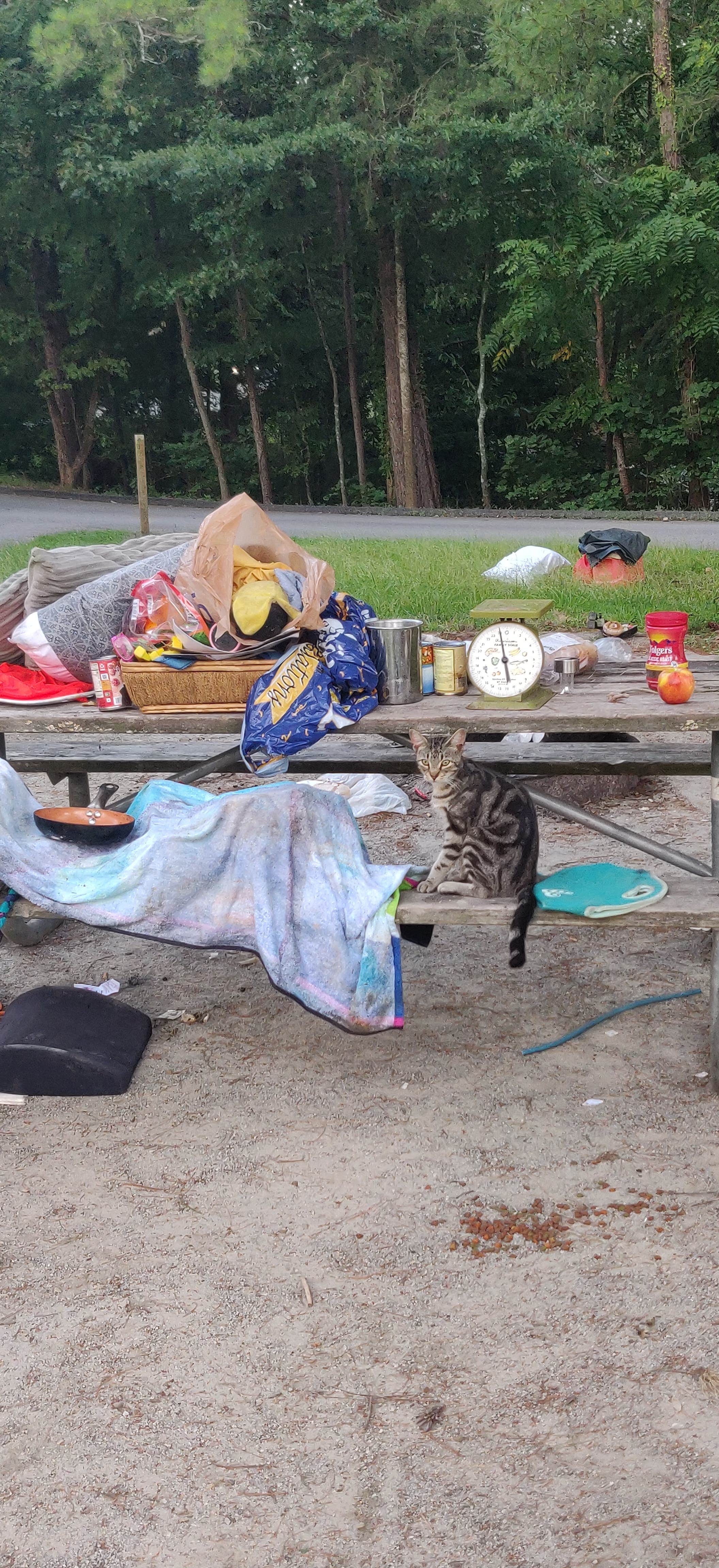 Ken E.'s photo of camping with pets at Bolding Mill near Sugar Hill, GA