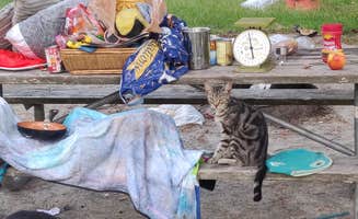 Ken E.'s photo of camping with pets at Bolding Mill near Suwanee, GA